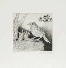 Load image into Gallery viewer, ARDIÇ KUŞU