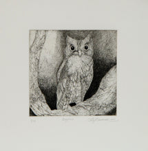 Load image into Gallery viewer, BAYKUŞ