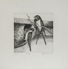 Load image into Gallery viewer, EBABİL