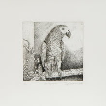 Load image into Gallery viewer, GRİ PAPAĞAN