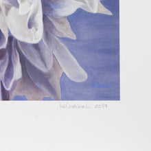 Load image into Gallery viewer, VAROLUŞ