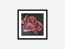 Load image into Gallery viewer, AHENK