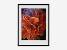 Load image into Gallery viewer, AŞKAYIK