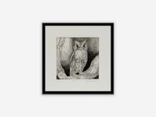 Load image into Gallery viewer, BAYKUŞ