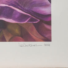 Load image into Gallery viewer, FISILTI