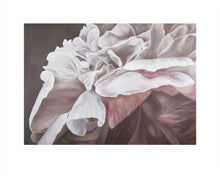 Load image into Gallery viewer, GİZİL