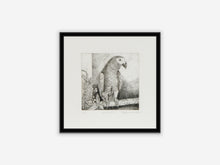 Load image into Gallery viewer, GRİ PAPAĞAN