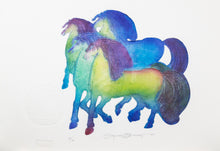 Load image into Gallery viewer, İSİMSİZ 14B / UNTITLED 14B