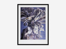 Load image into Gallery viewer, VAROLUŞ